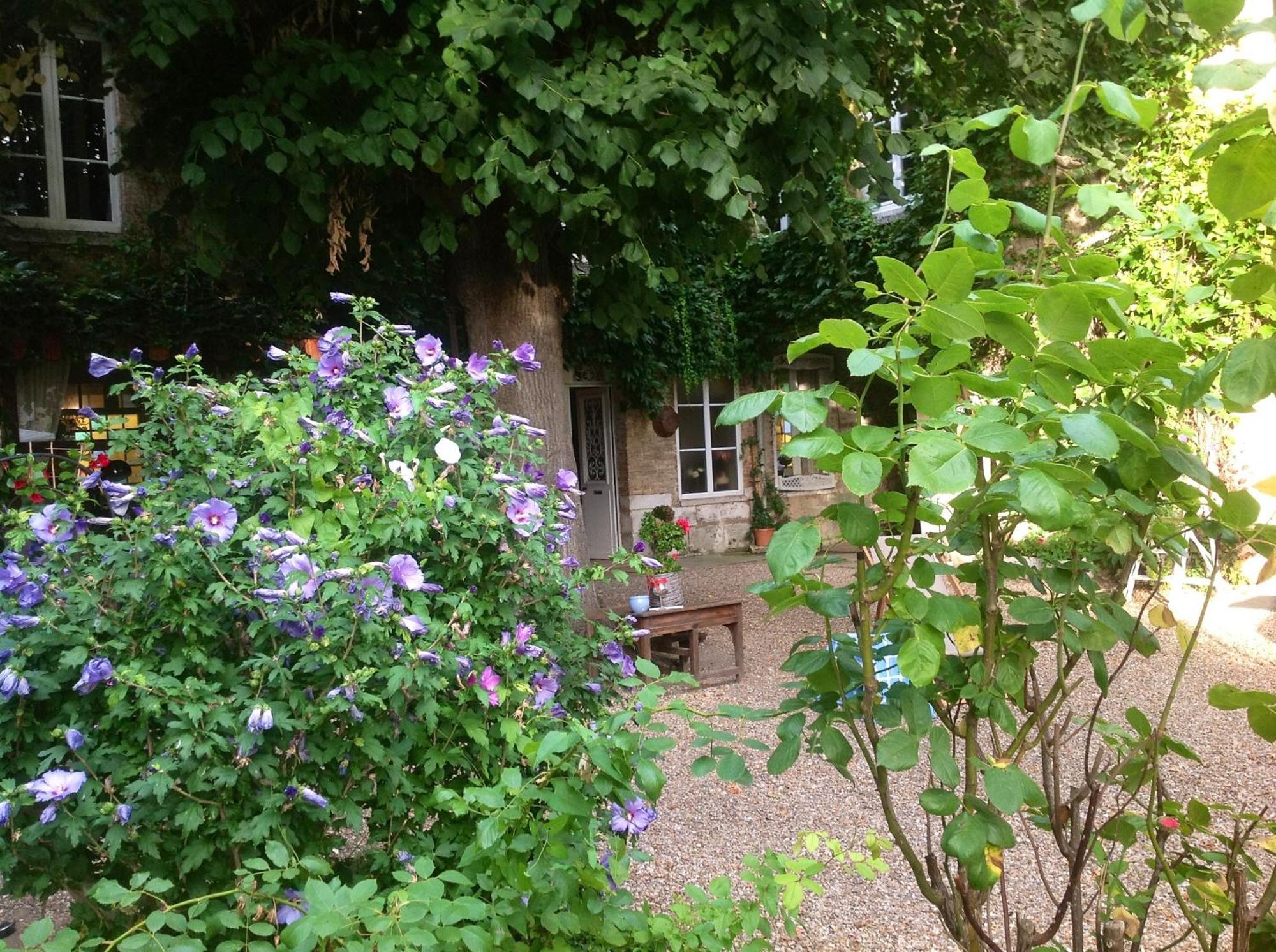 Chambres D'Hotes La Villa Alienor เลส์ อองเดอลีย์ส ภายนอก รูปภาพ
