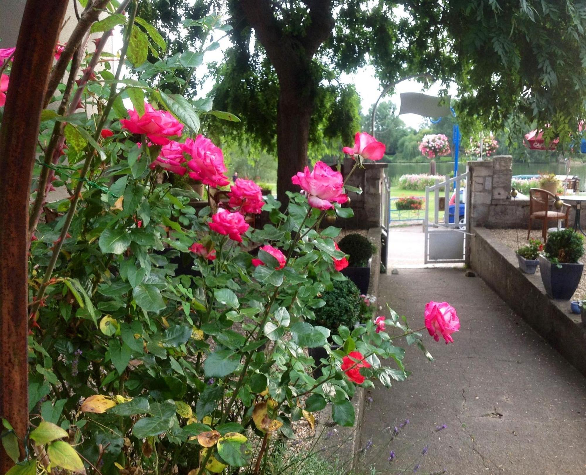 Chambres D'Hotes La Villa Alienor เลส์ อองเดอลีย์ส ภายนอก รูปภาพ